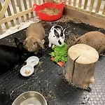 Alpaca Moekki - Laamatila