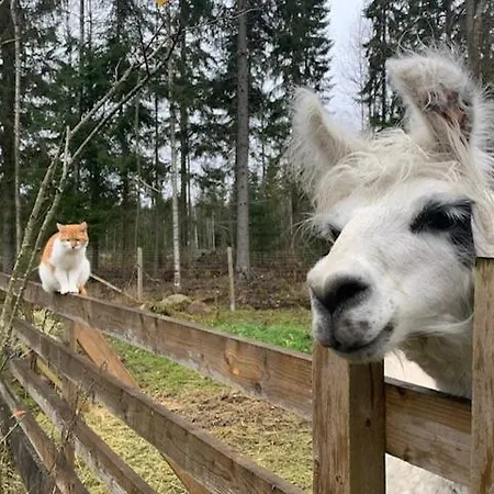 Alpaca Moekki - Laamatila